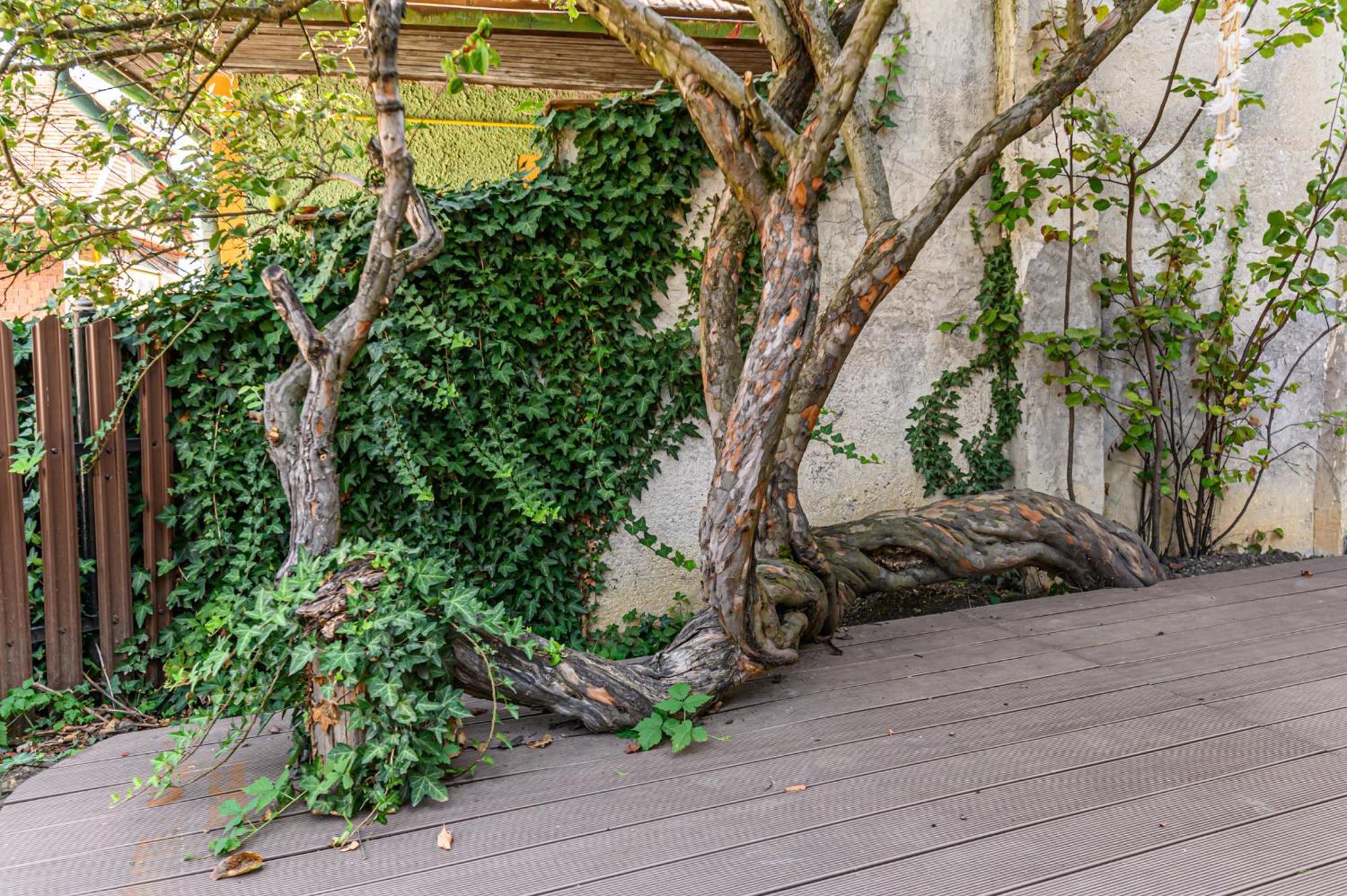 Lagom - Hot Tub Hideout บราชอฟ ภายนอก รูปภาพ